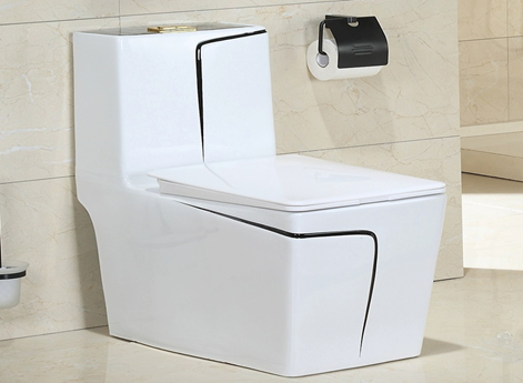 W.C. BLANCA CON LINEA NEGRA