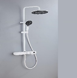 SET DE DUCHA REDONDA Y DUCHA TELEFONO BLANCA